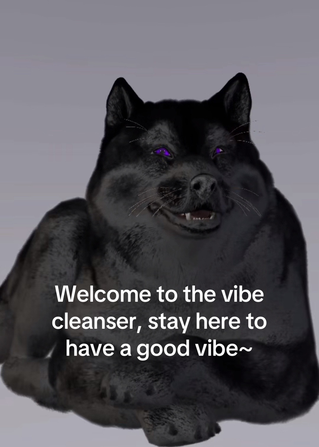 @Jonjon