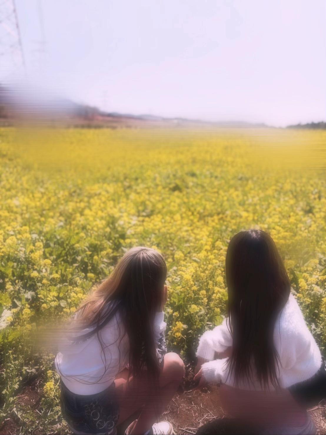 @杏　虹