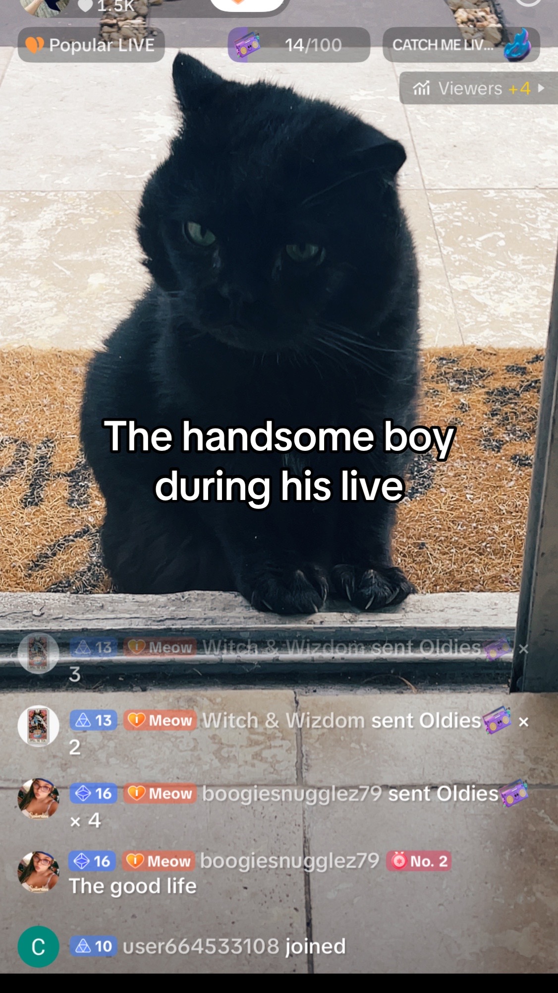 @Meow Meow