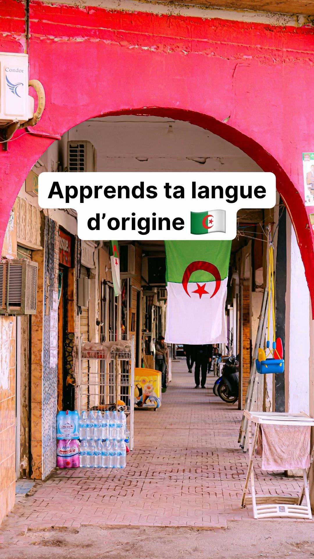 @parler_algerien