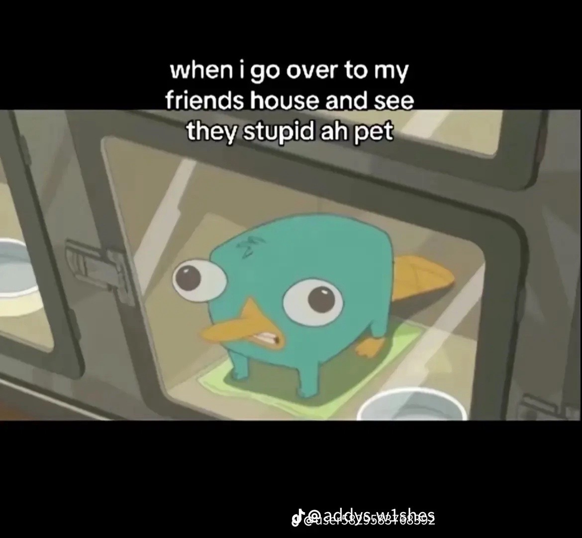 @Aj