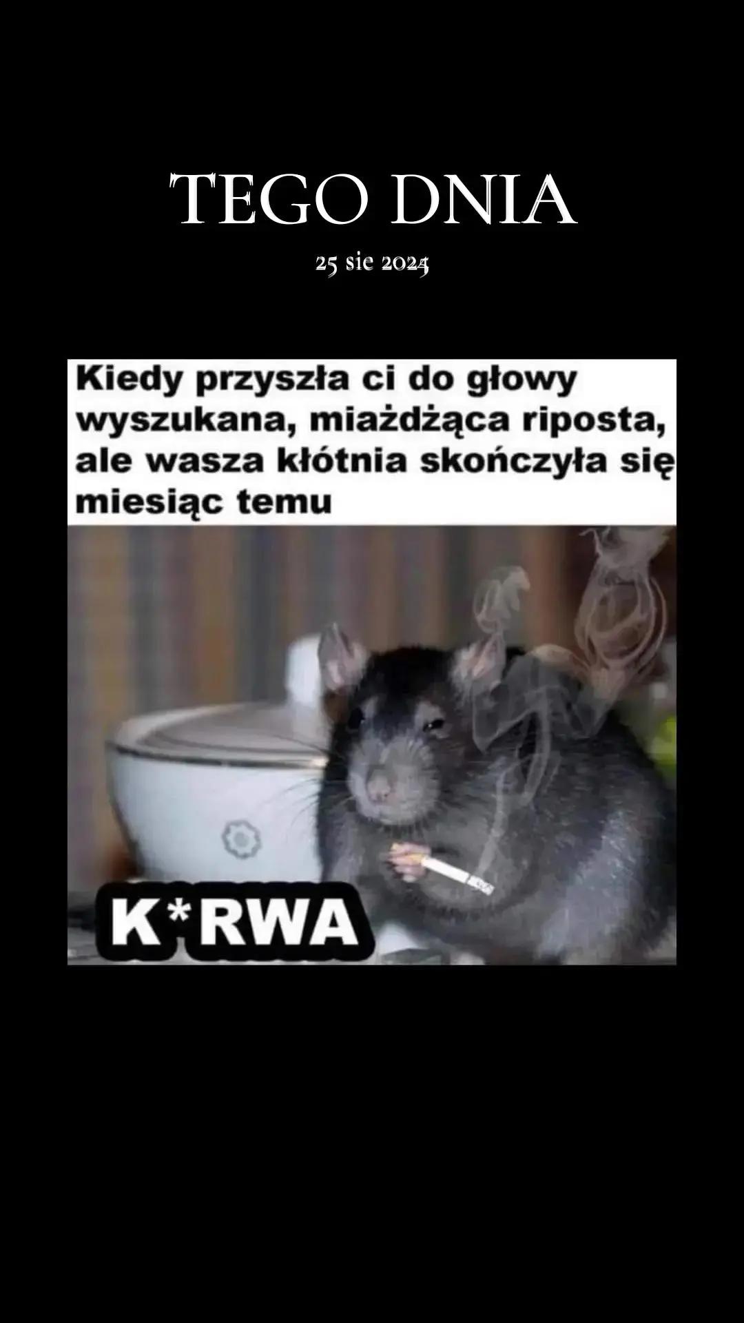 @wulgarna_81