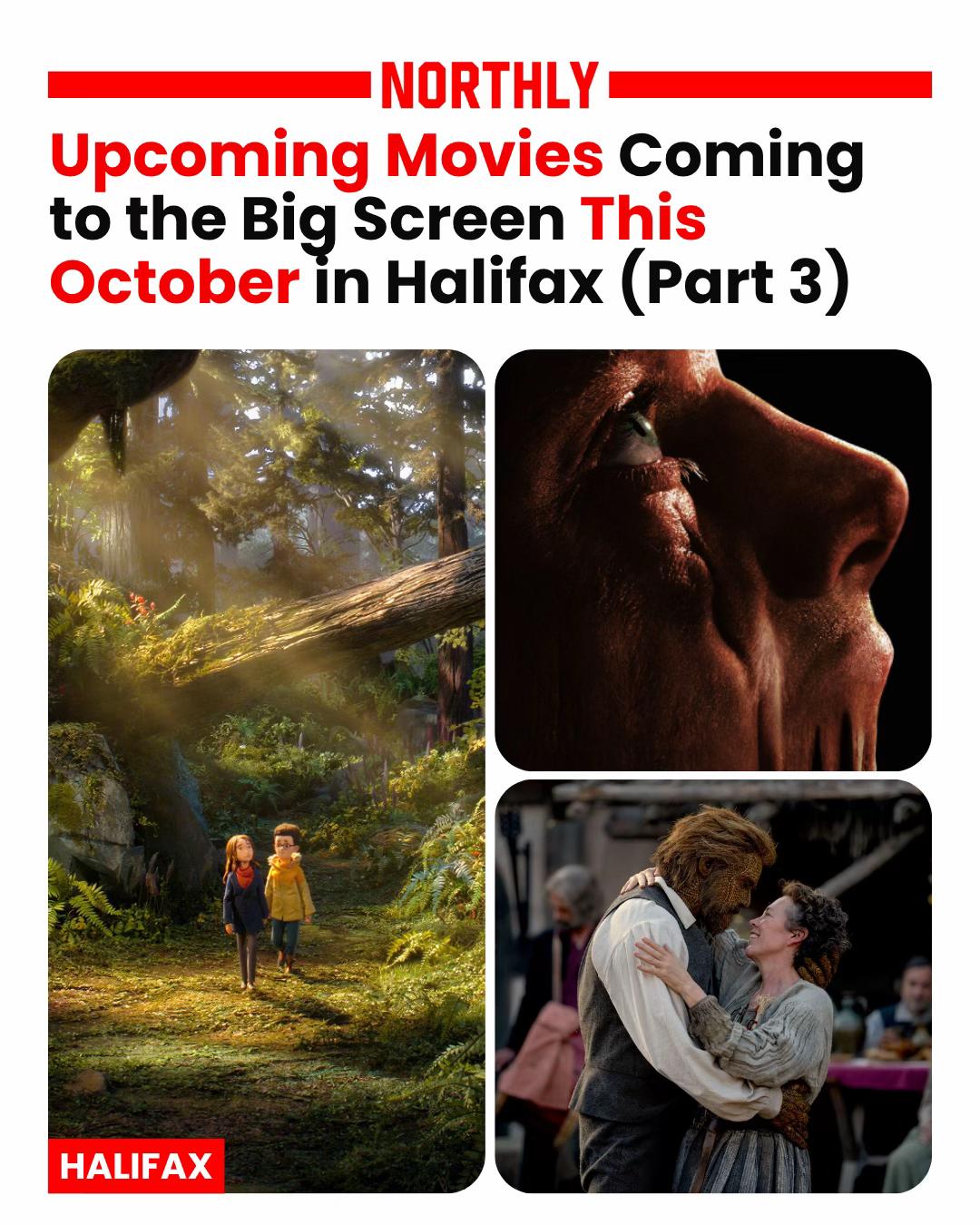 @northlyhalifax