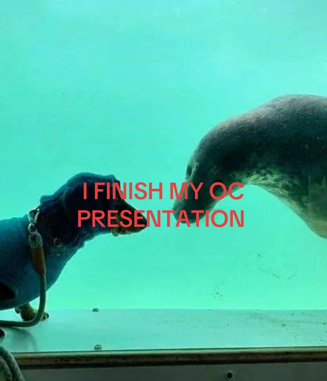 @cui
