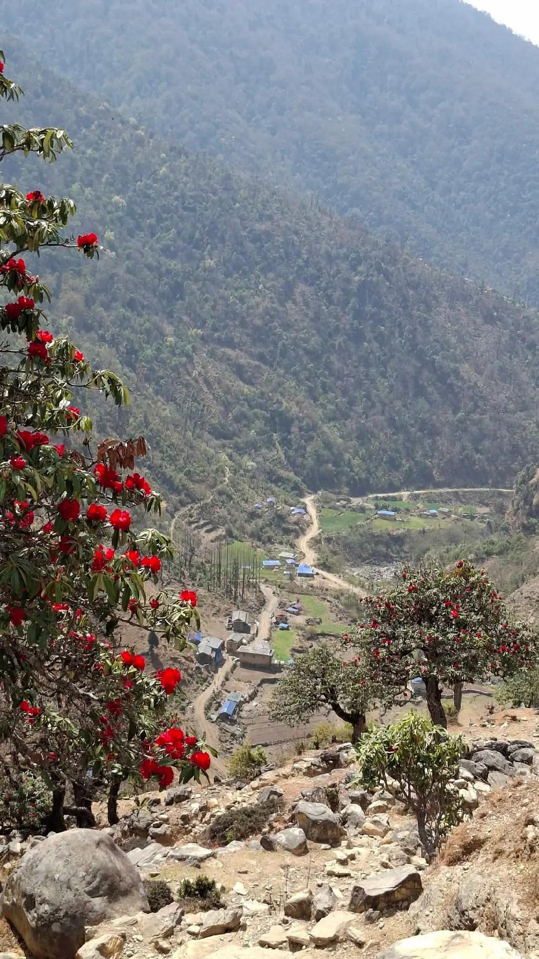 @🇳🇵नेपाली गाउँ बस्ती🌹