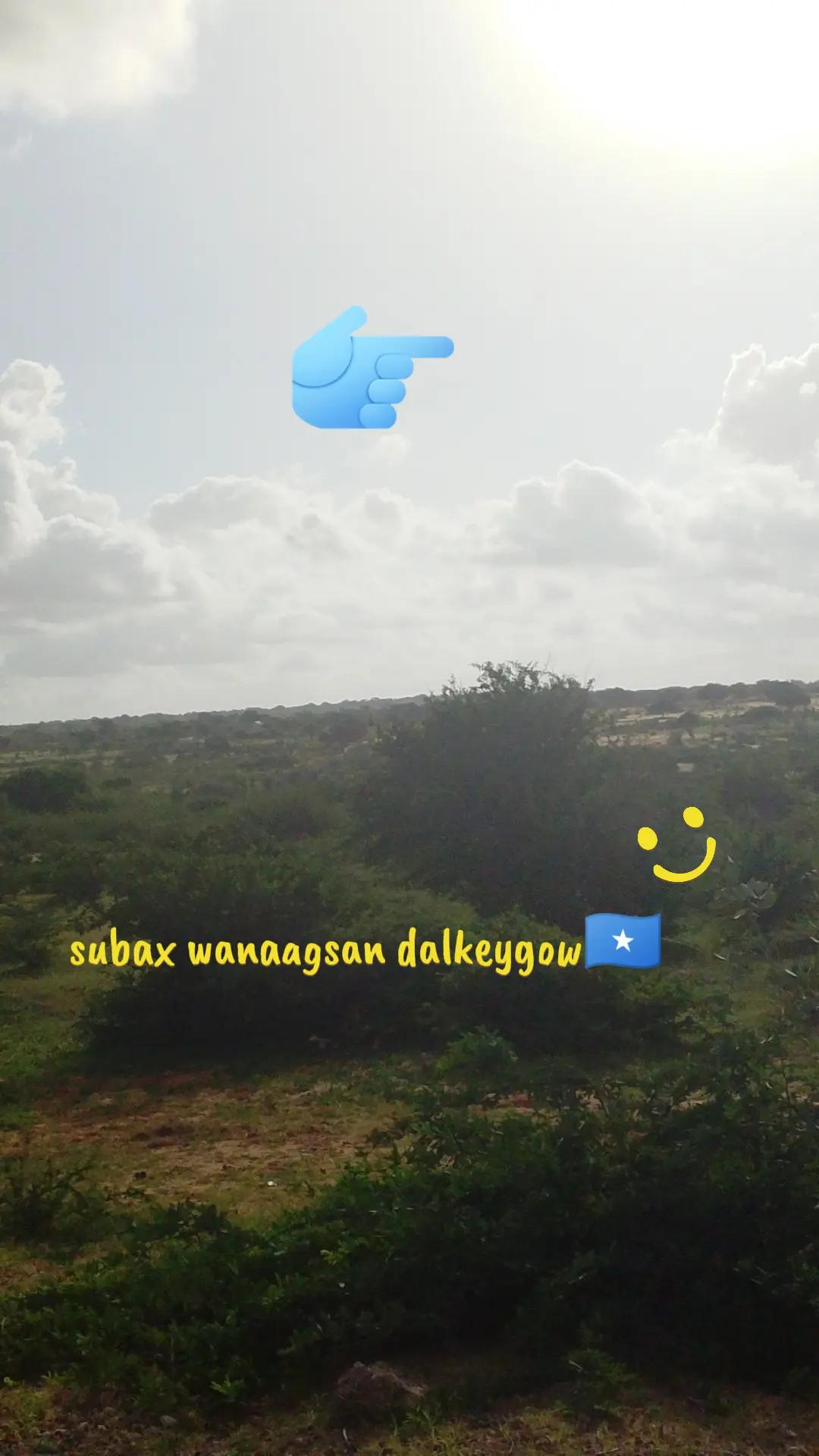 @salimasomali🌿