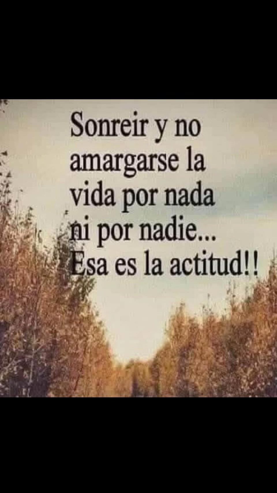@Luz B
