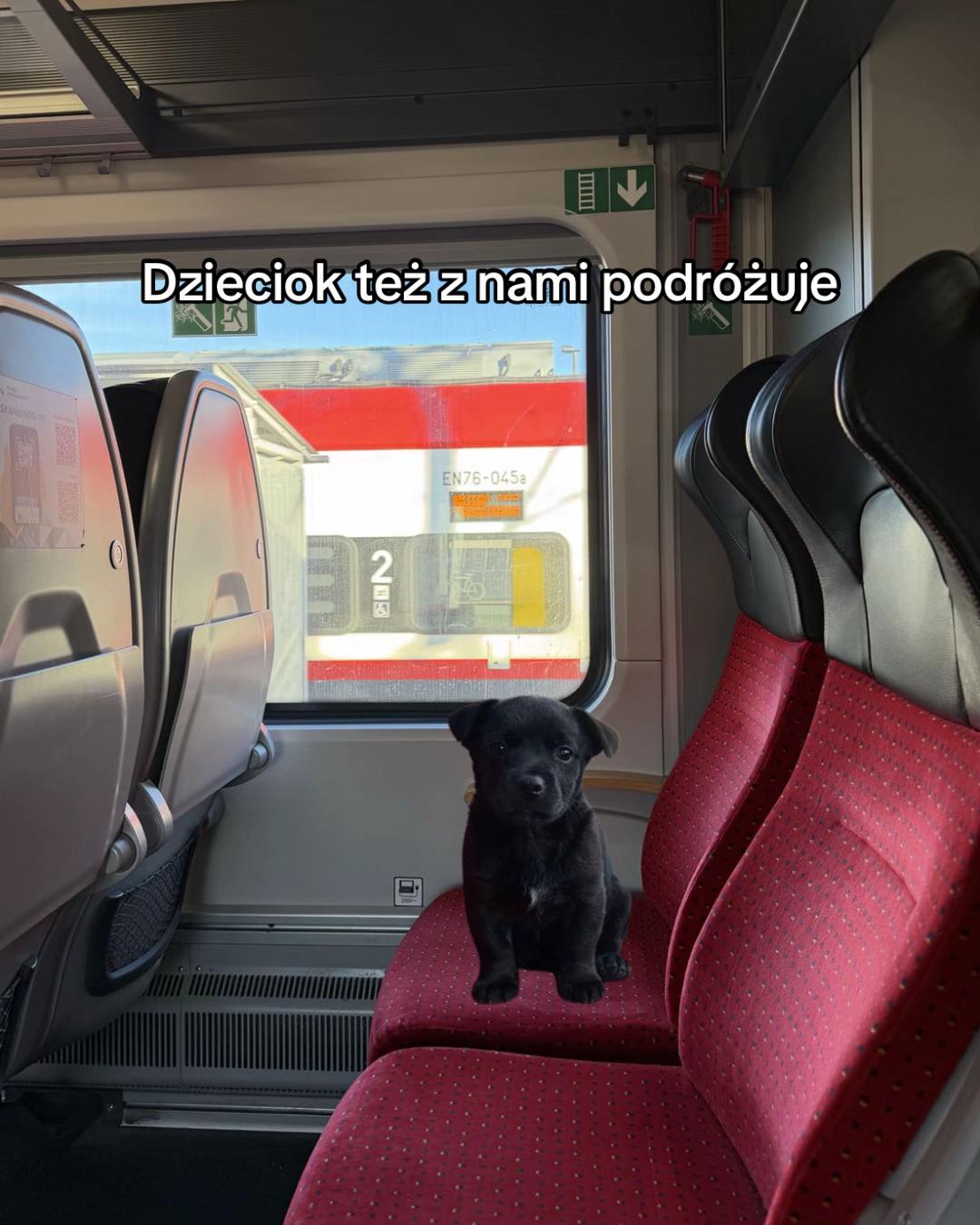 @Koleje Wielkopolskie