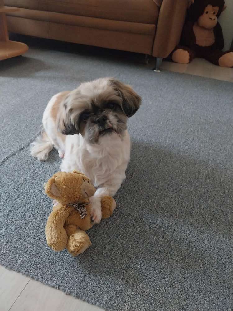 @Bella🐶💕