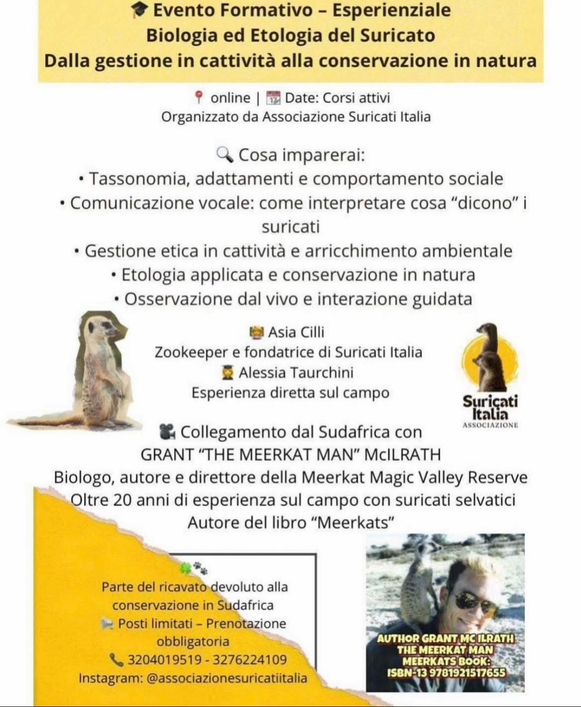 @Alessia Taurchini