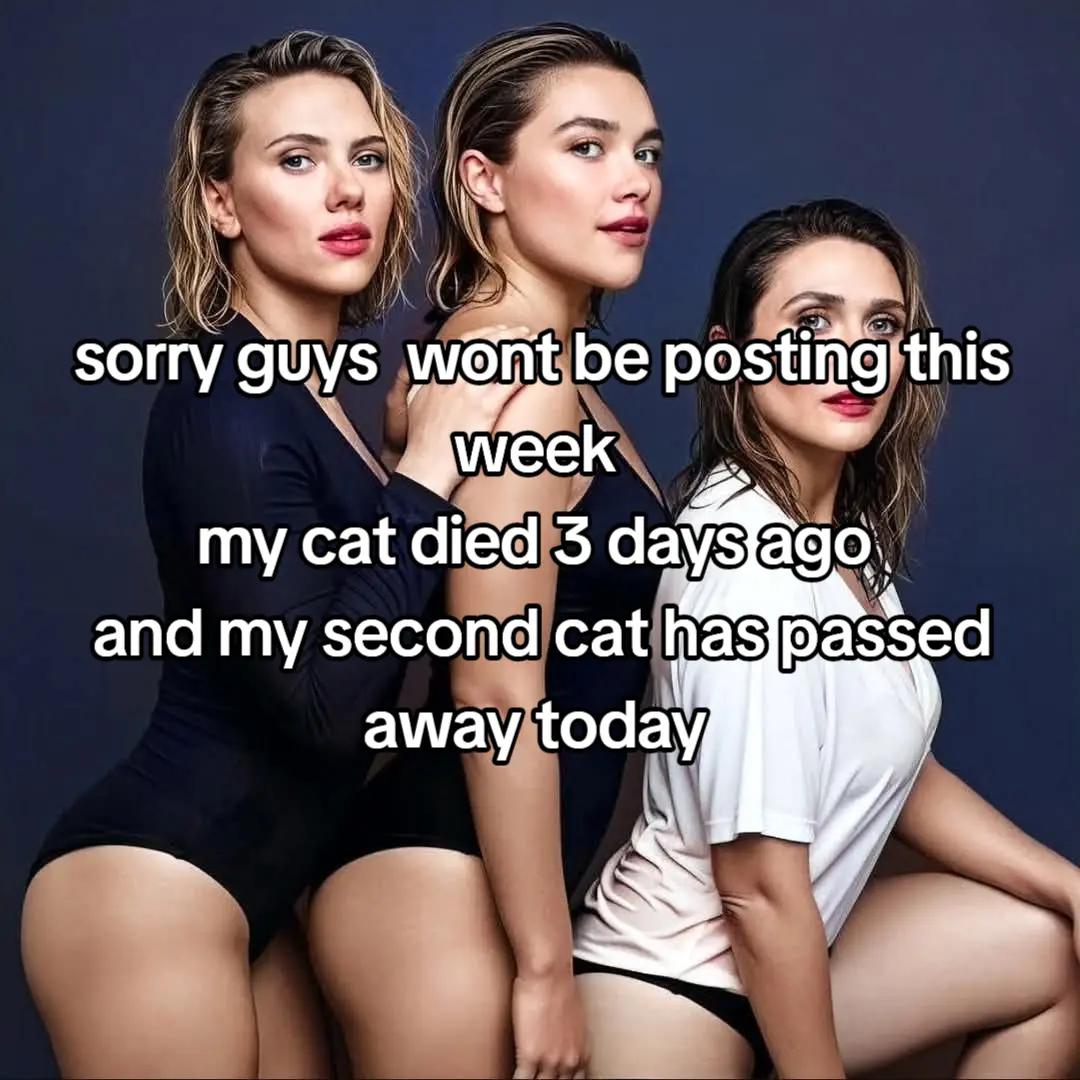@Natasharomanoffpovs⧗ᗢ
