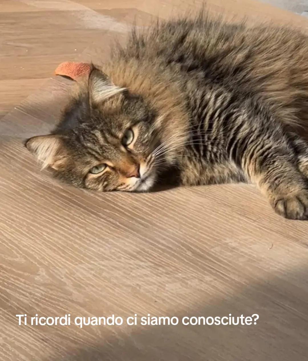@Gabriela Mastrangelo