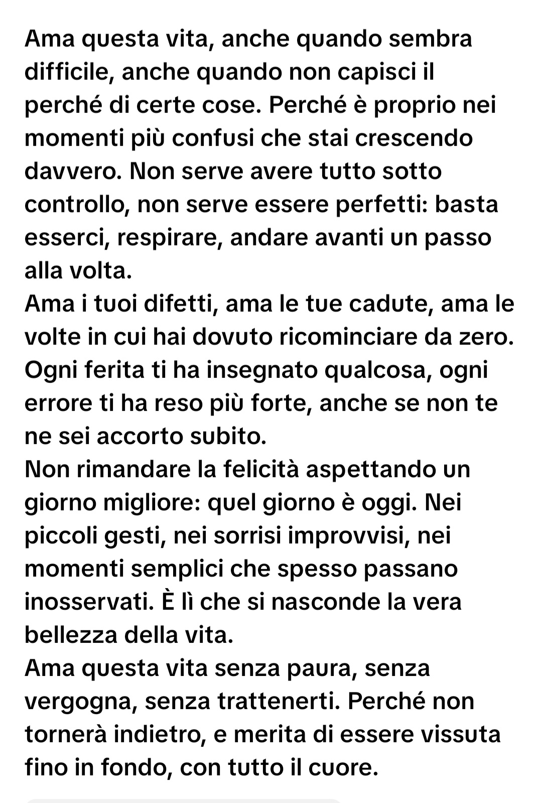 @leonessa