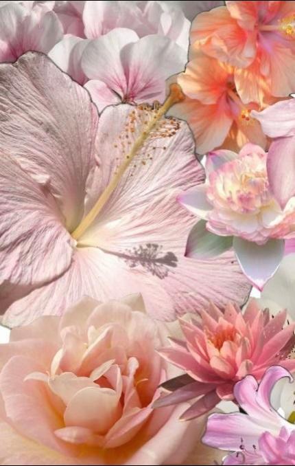 @prettyg1rlavenue0