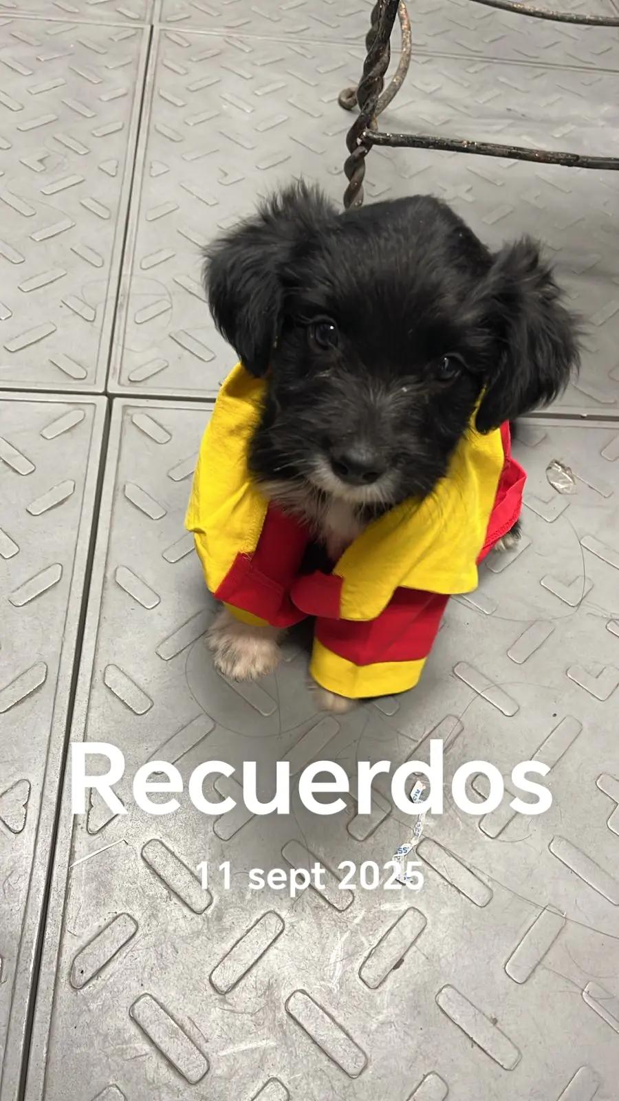 @Sara Vazquez