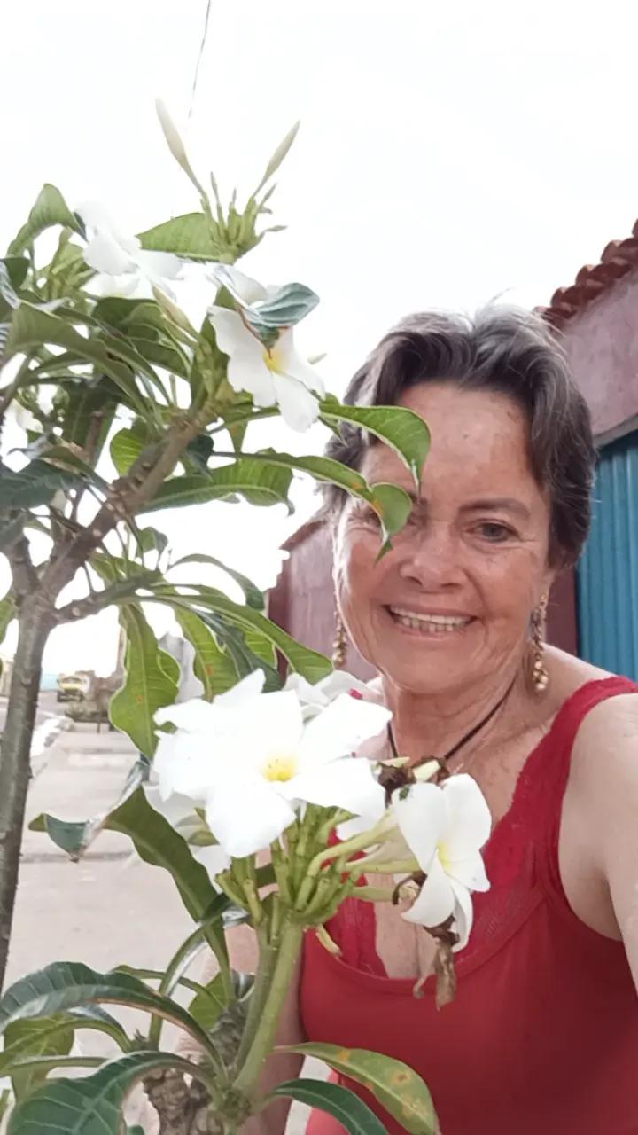 @Maria Aparecida X368