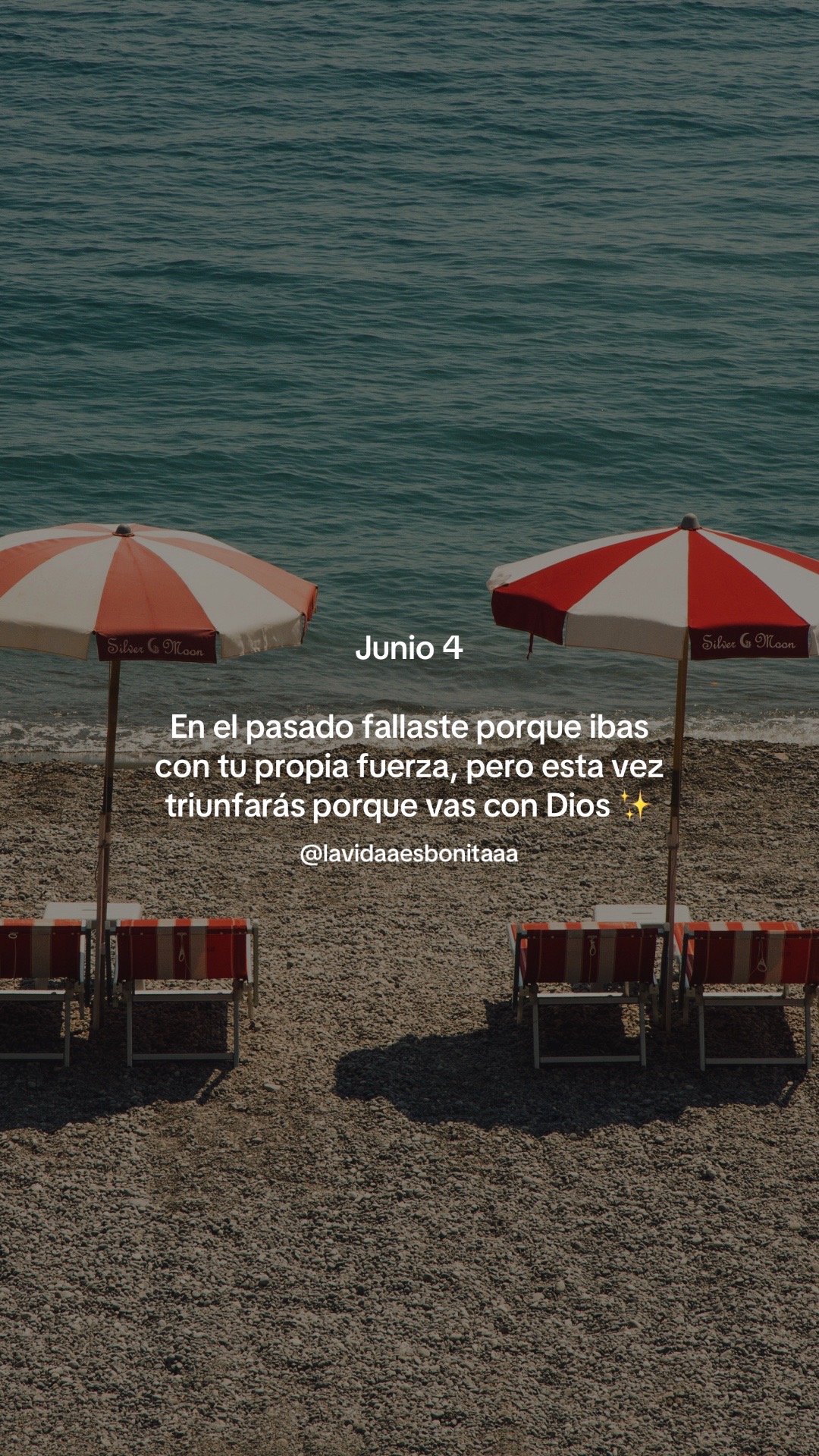 @vidabonita❤️&zwj;🩹