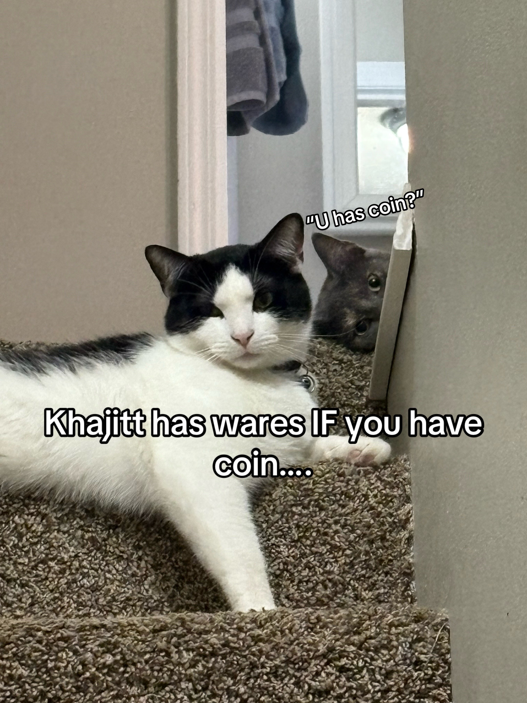 @Matthew🐺