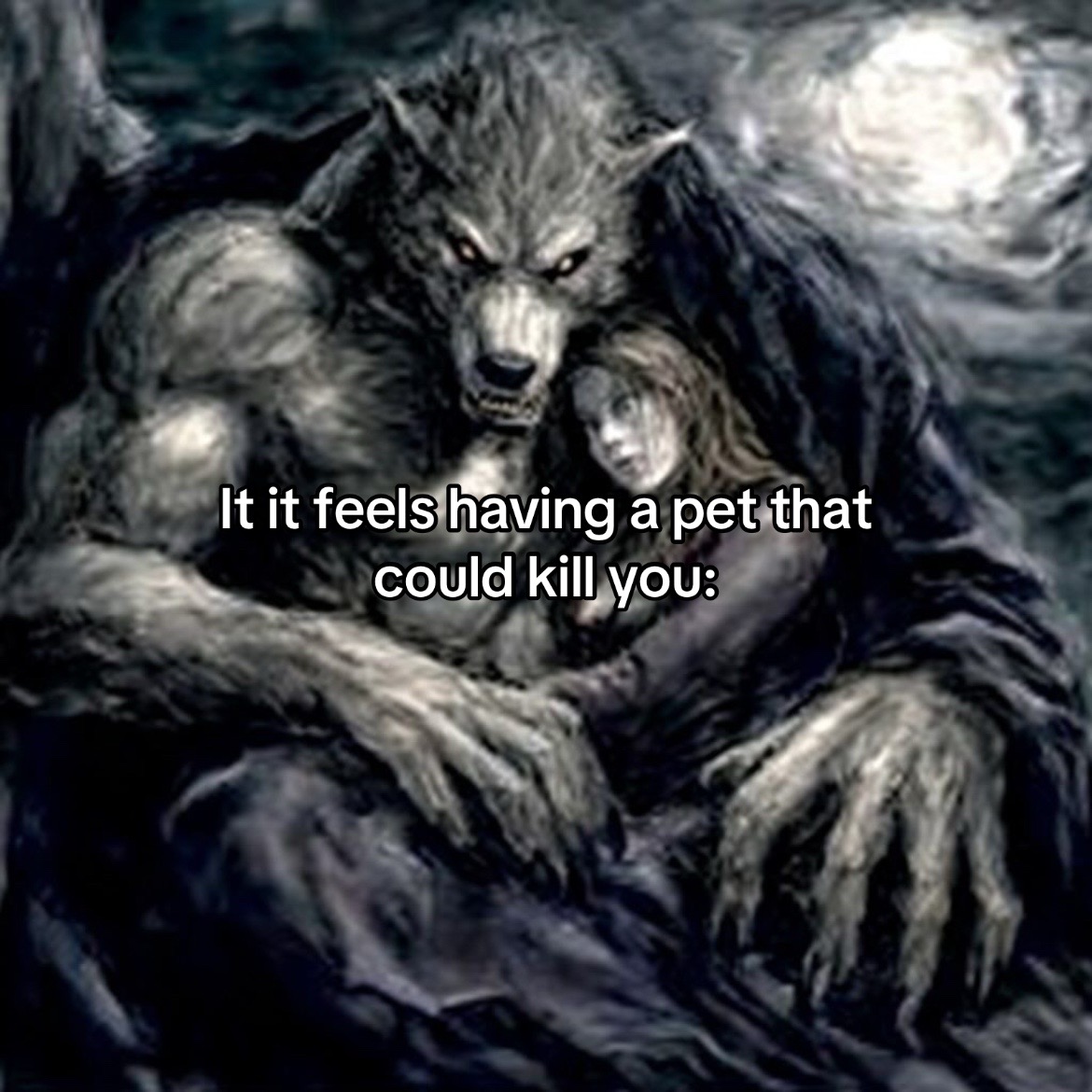 @𐂯lyric🦈