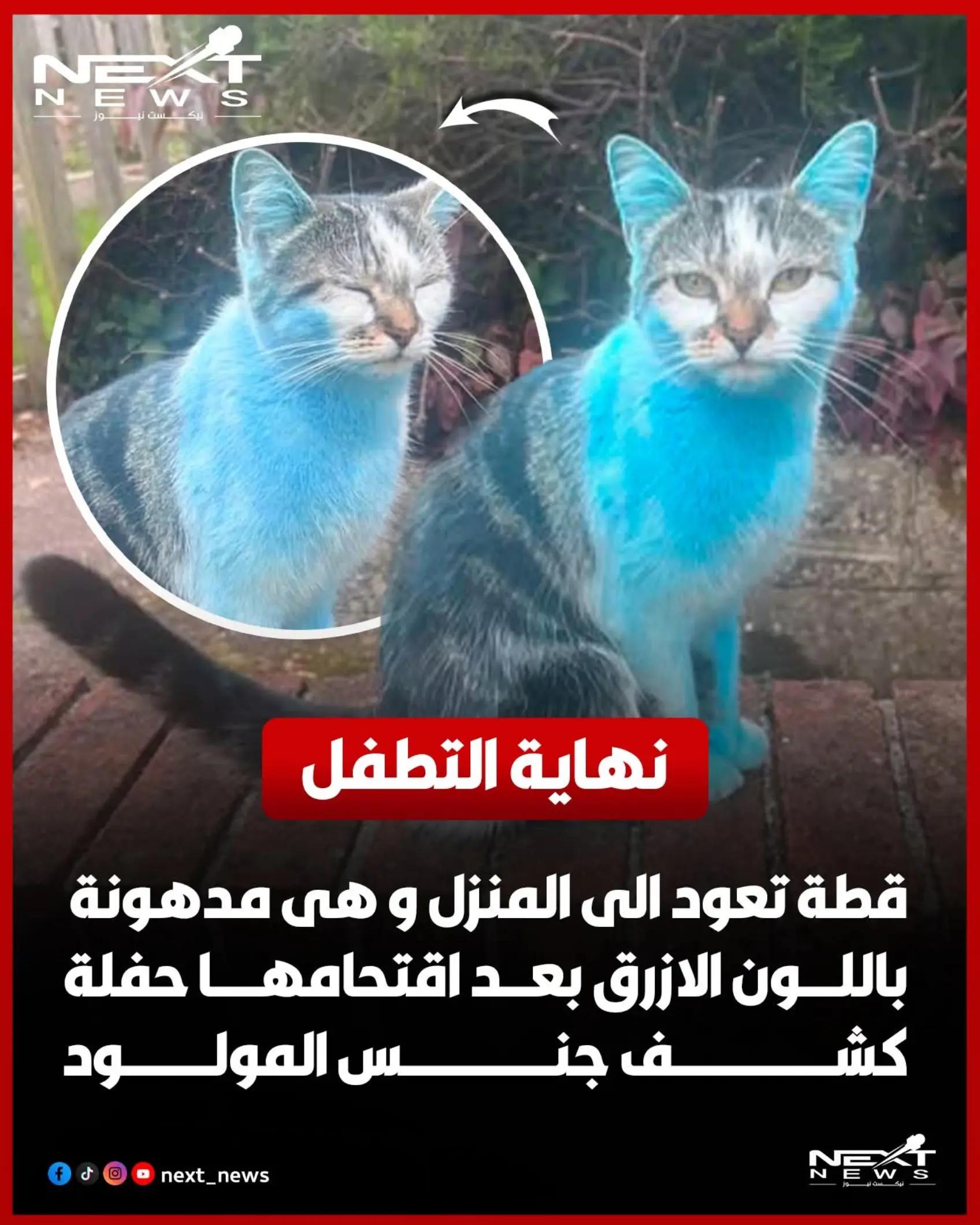 @nextnews