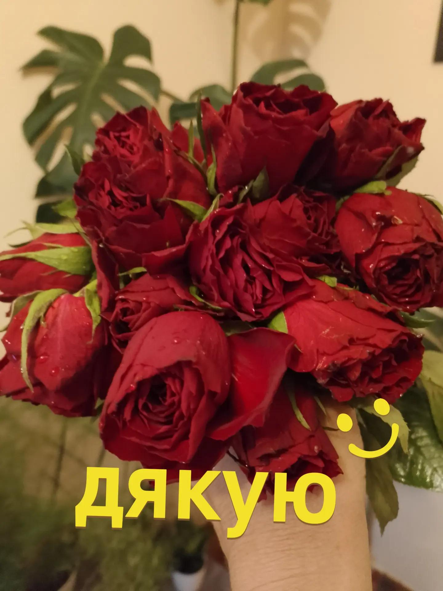 @Ksenia:💙🖤