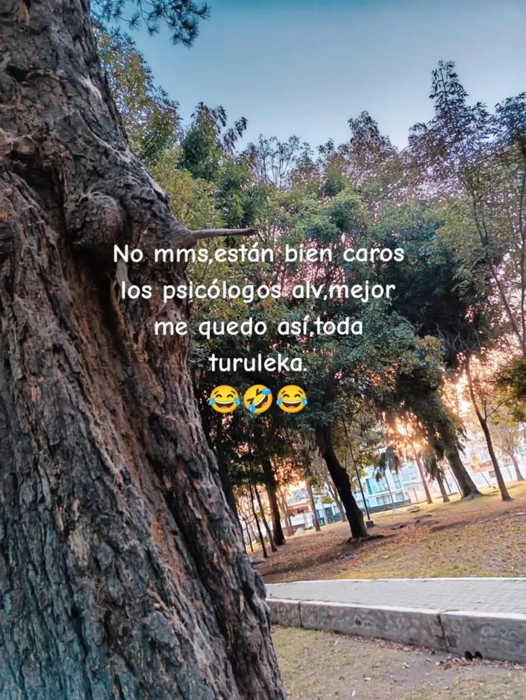 @🌻Jess🌻