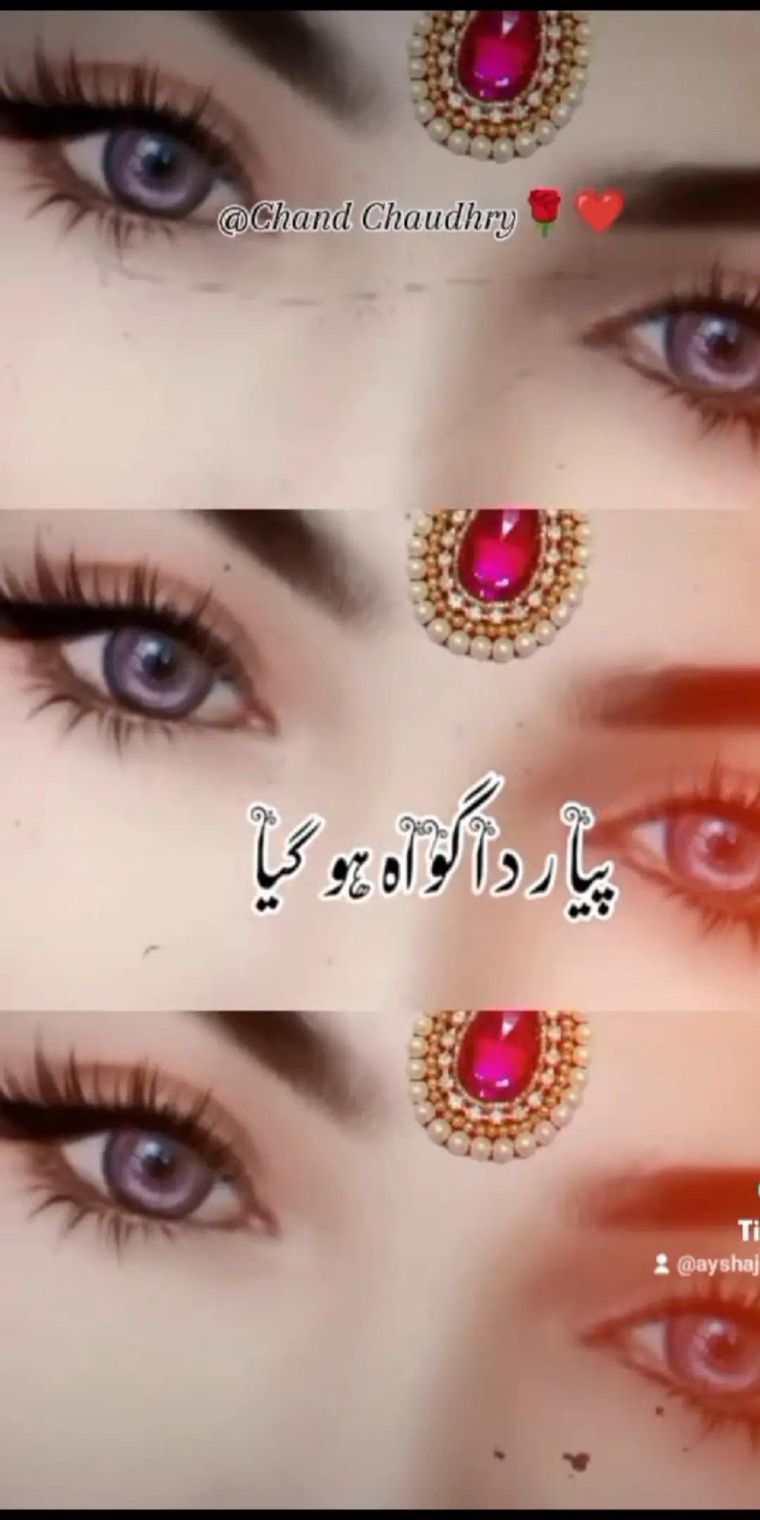 @Aysha jutt