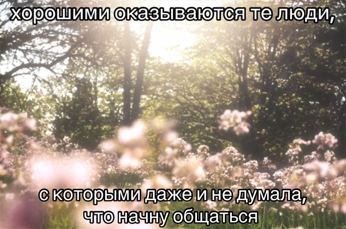 @mxlekis⋆