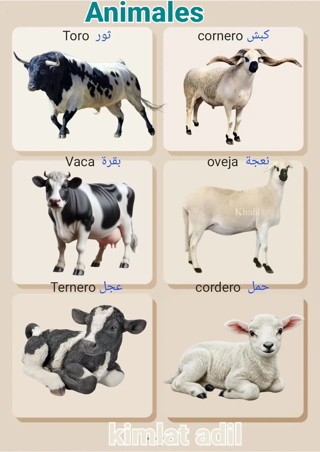 @Sabrina ๐ฉ๐ฟโก๐ช๐ธ