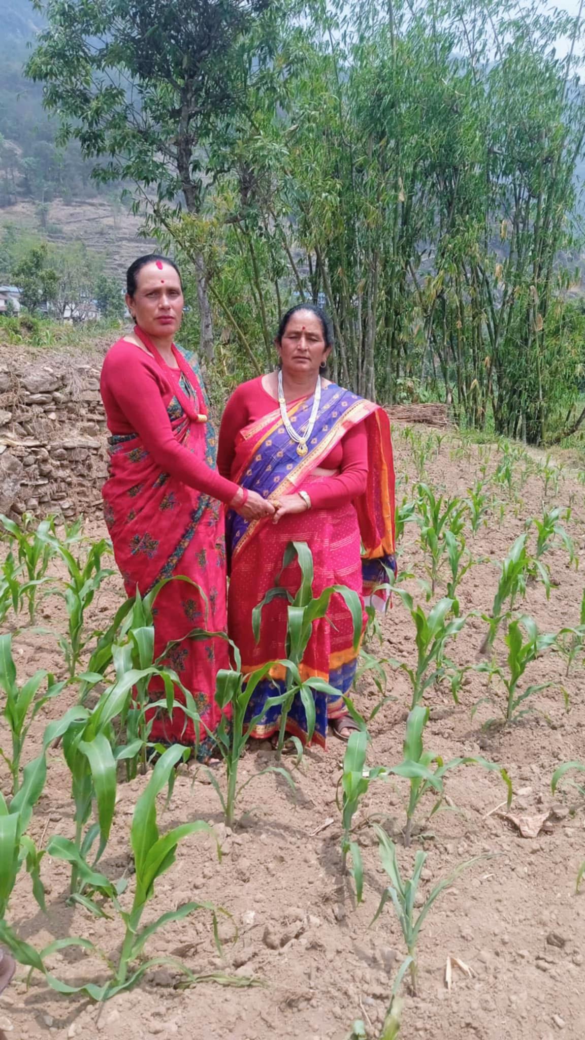 @MEGHARAJ SAPKOTA 🇳🇵 🇯🇵