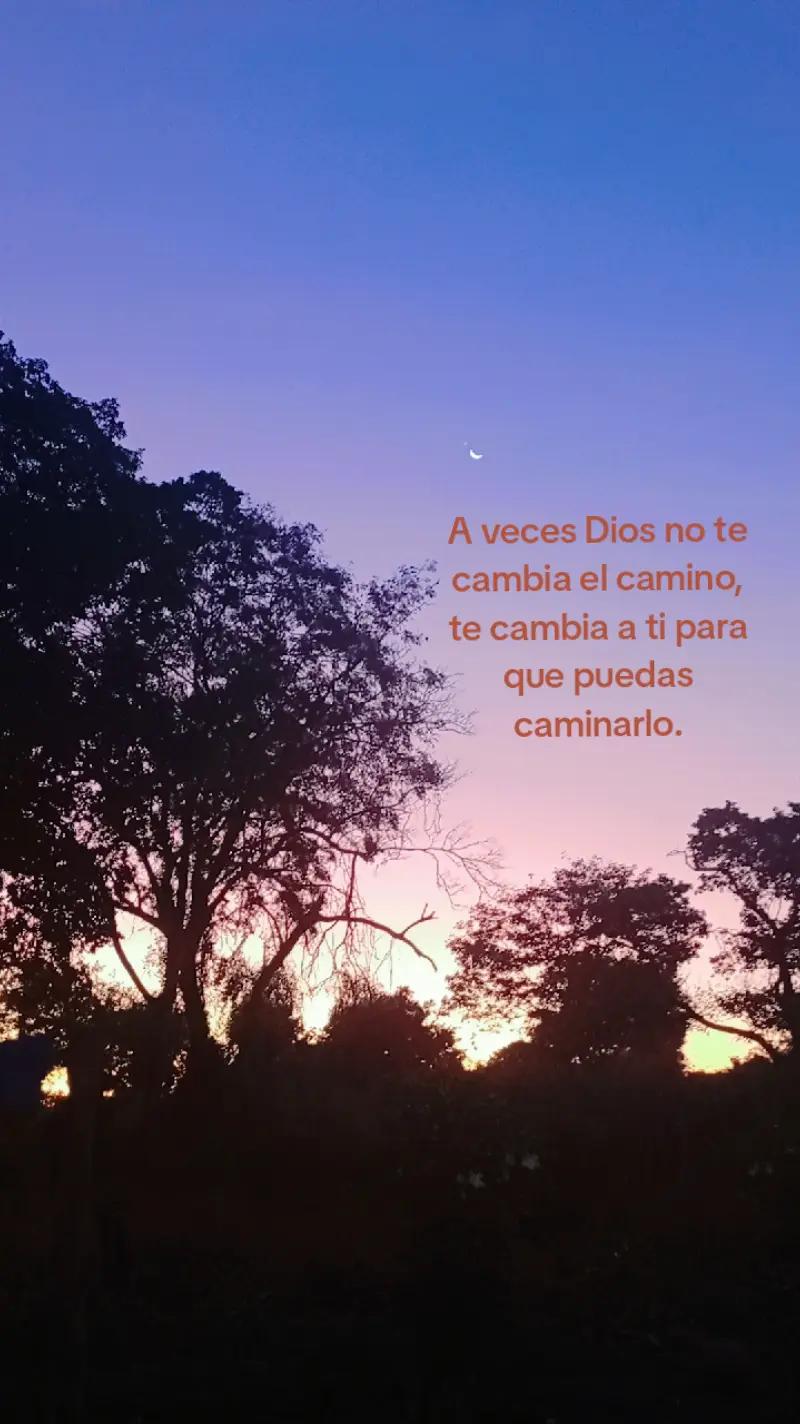 @mar🦋