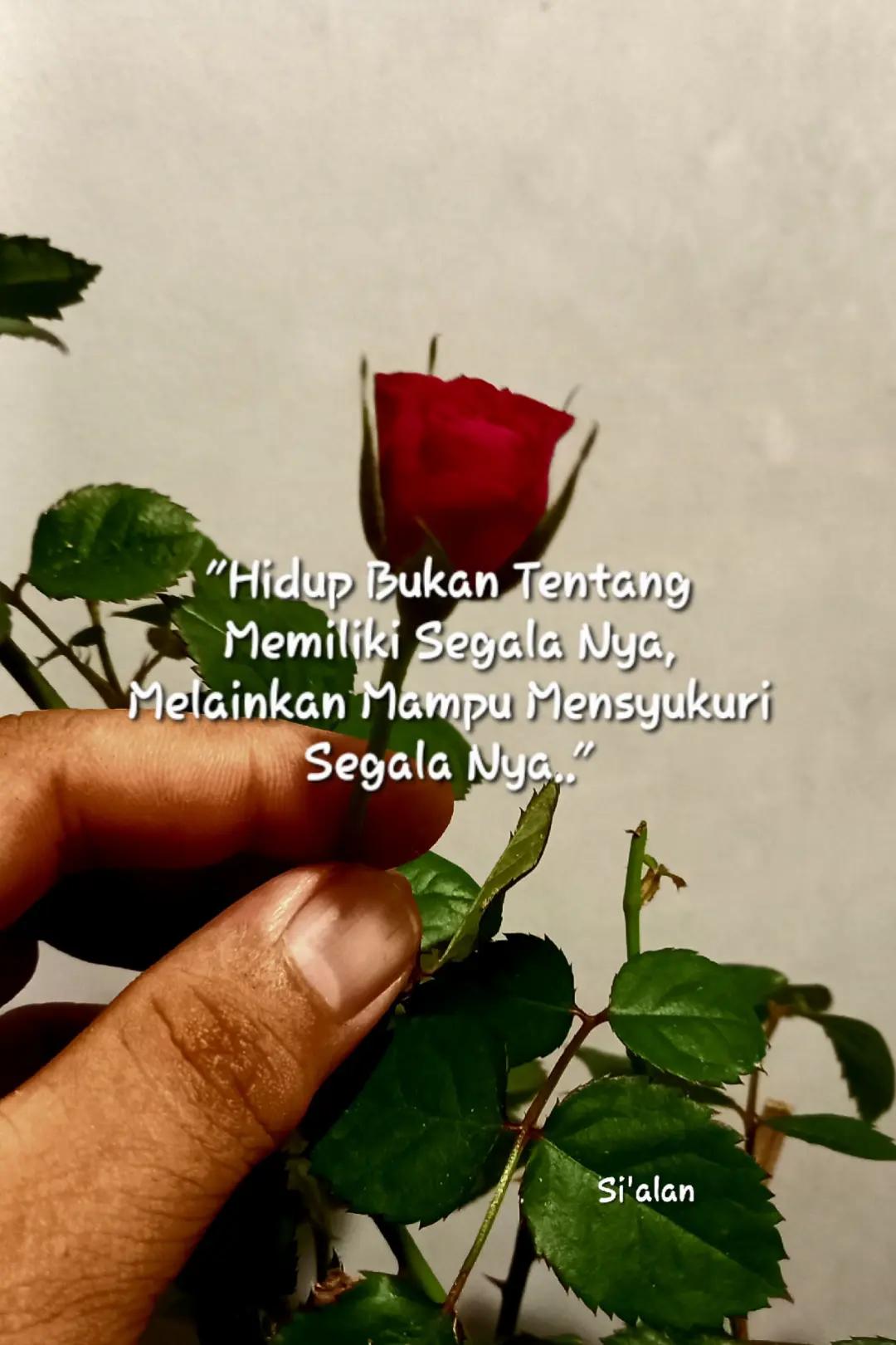 @Fini_Tck248*