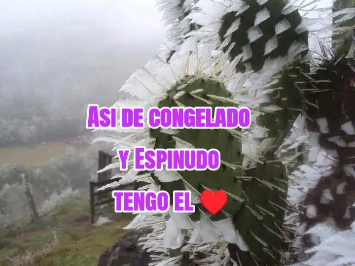 @💮👌🪹Liam,