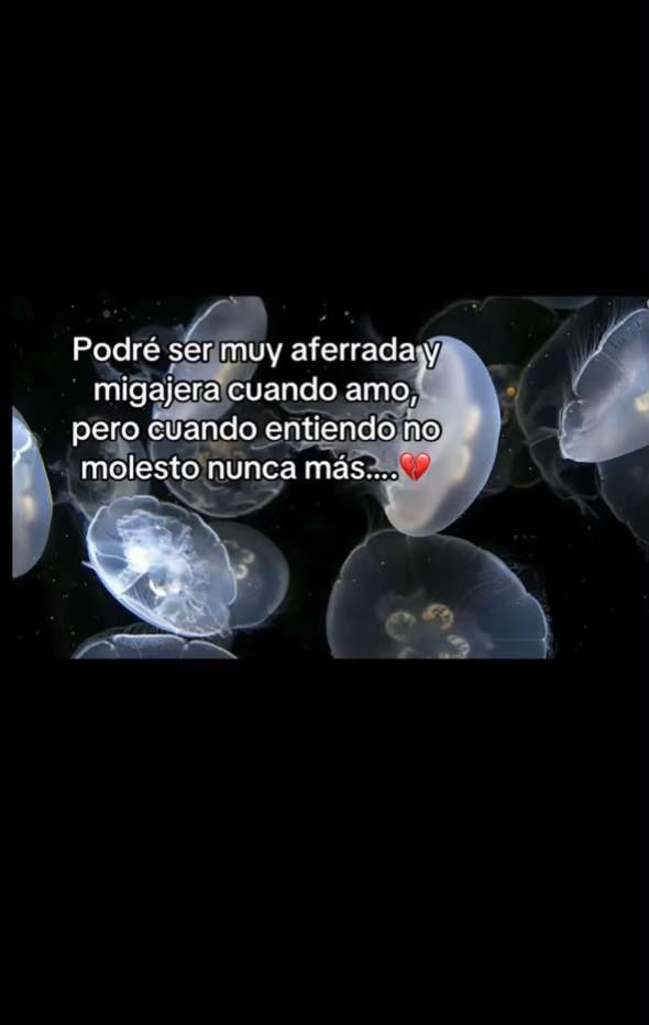 @heydidaza2303👸🏻🐼🦋