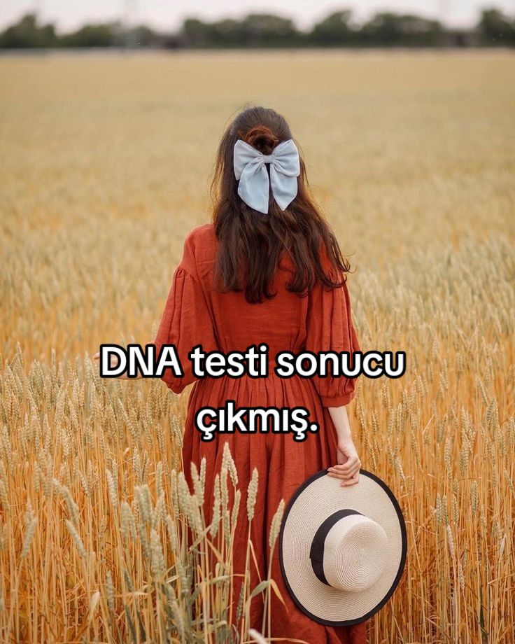 @su-izi