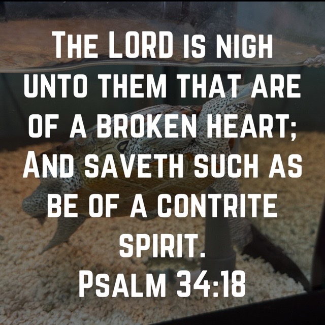 @Rugged Committed