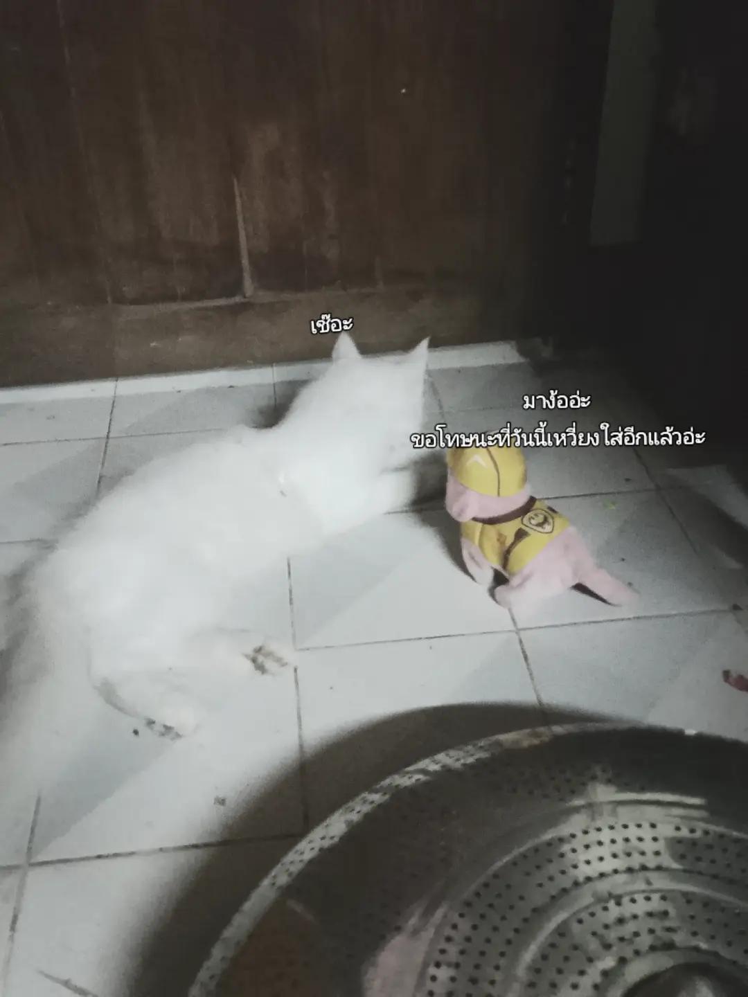@ไอ่เนⓂ️