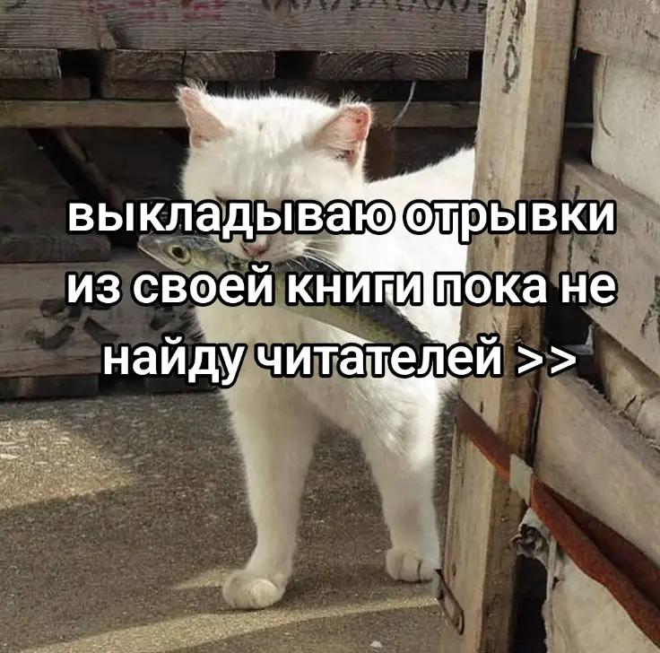 @Лима Морен📖