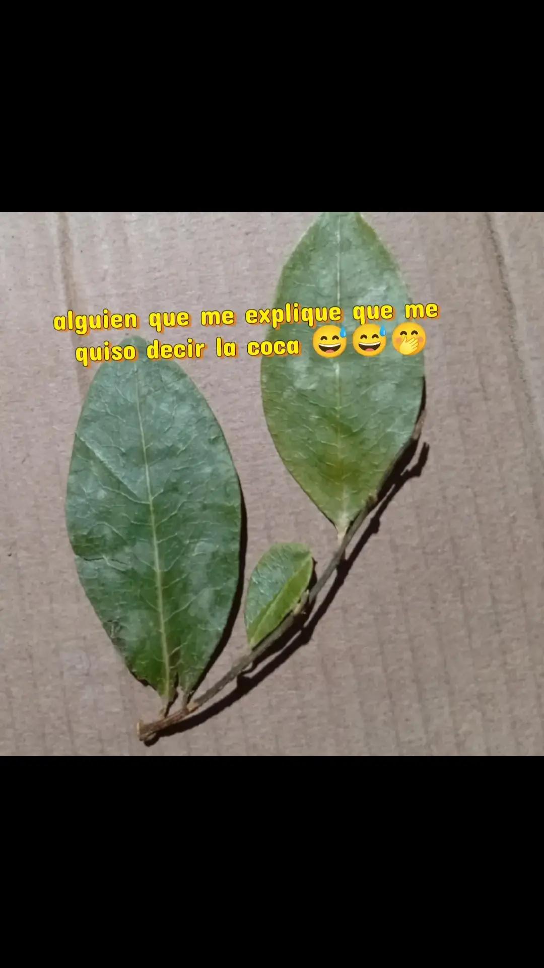 @J_chaupis👷🦺08🇵🇪