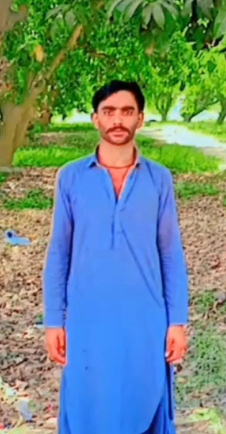 @massi sheelani