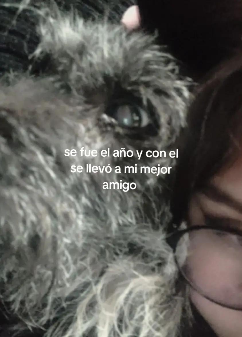@VALENTAIN