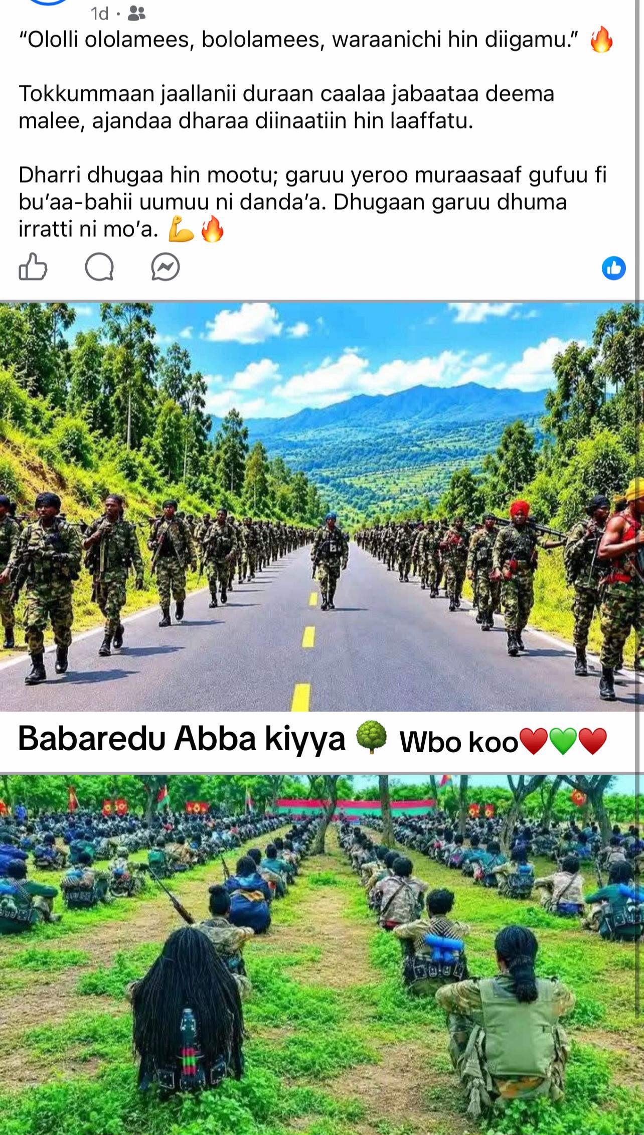 @TakkittiiAbbaadhoo❤️4💚3♥️0🌳