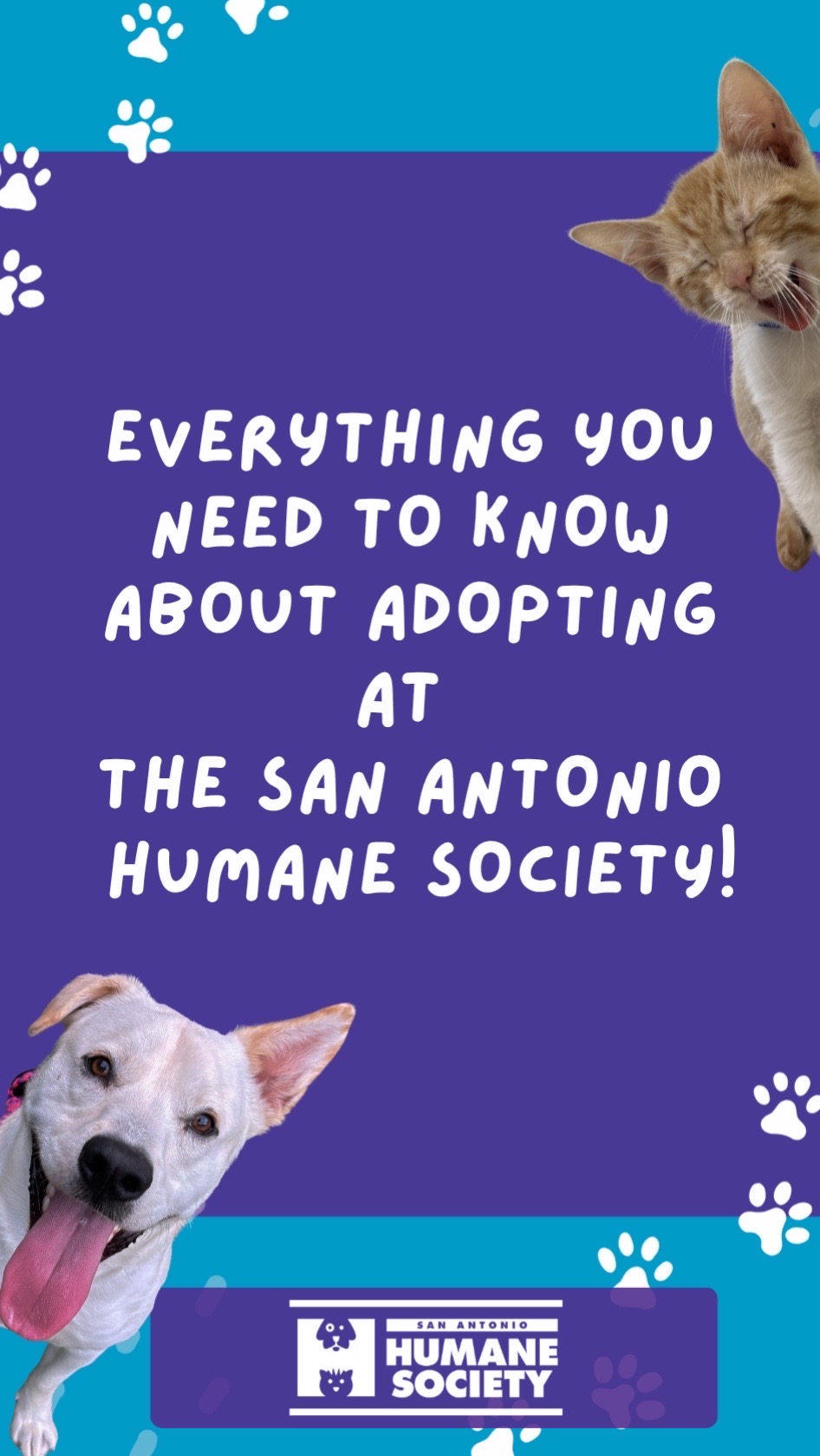 @San Antonio Humane Society