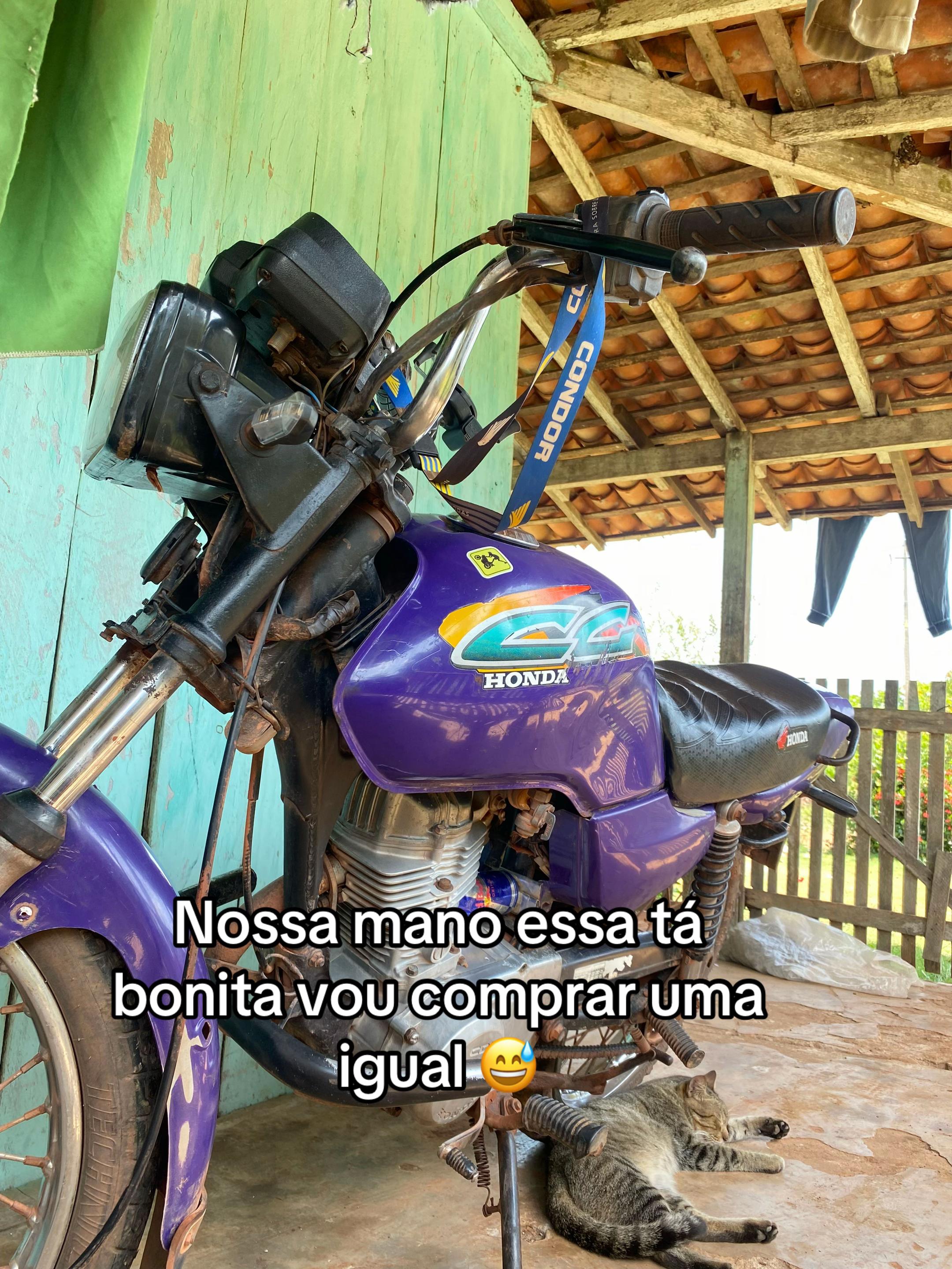 @sampaio_zin