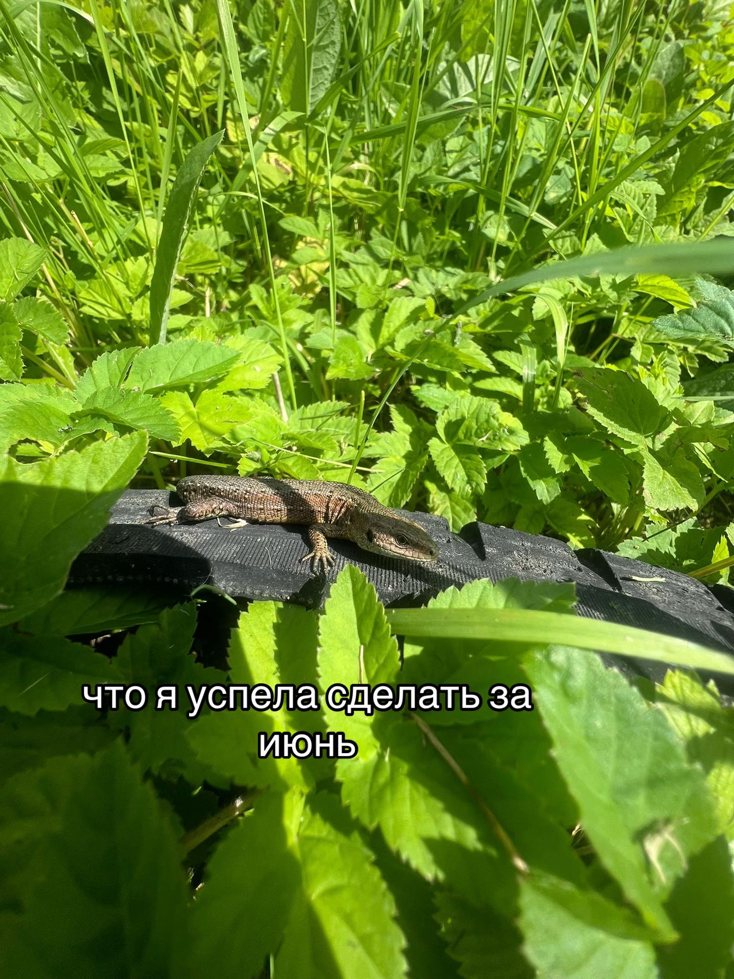 @Y0RU