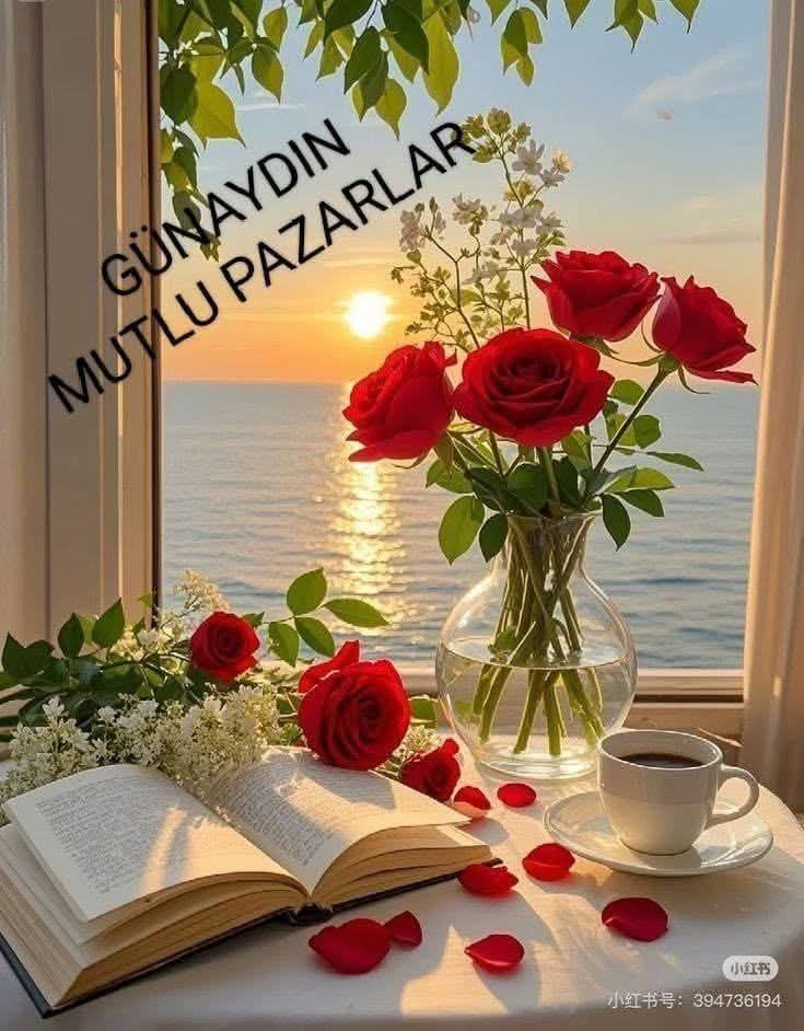 @💙LEYLA❤️ SULTAN 💙
