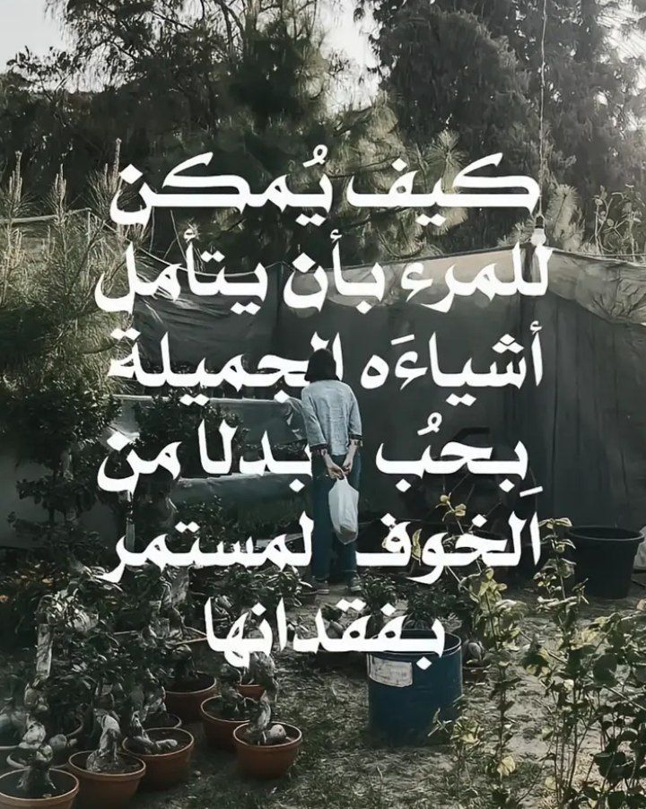 @✦