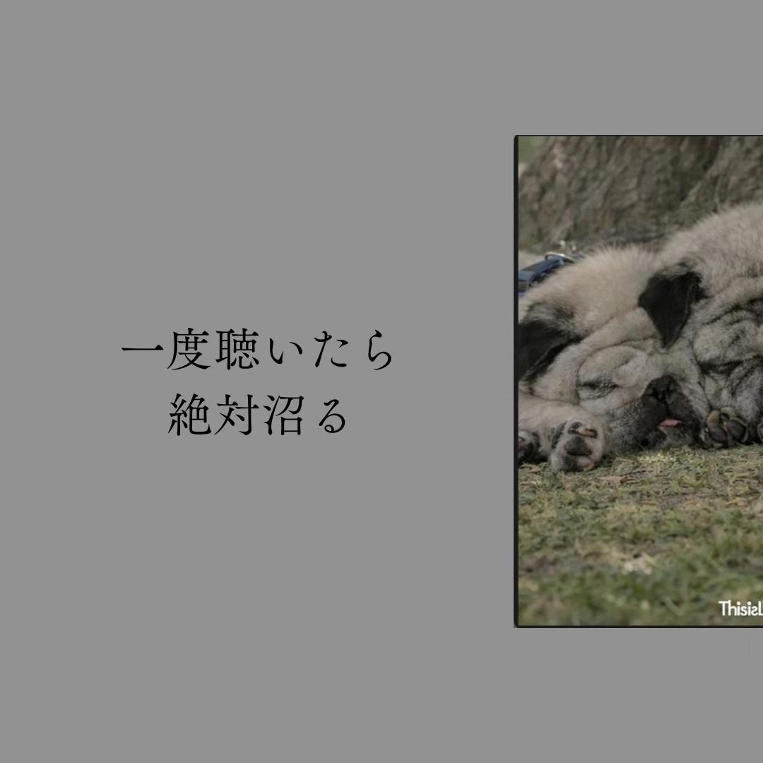 @Yのプレイリスト