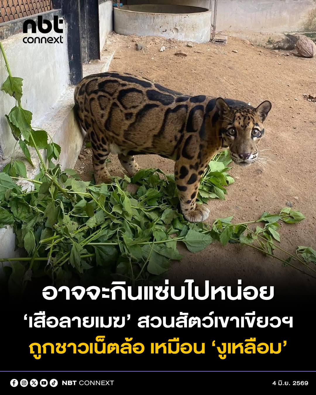 @&deg; หมานิ้ง &deg;