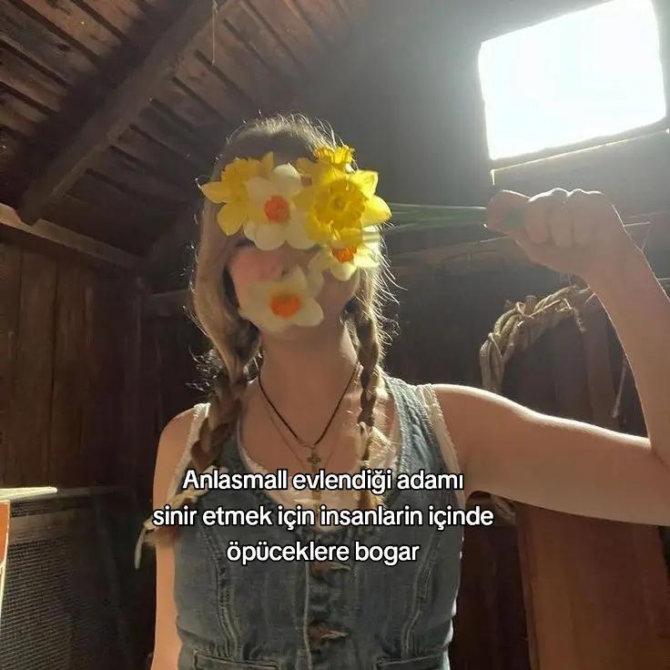 @wattp